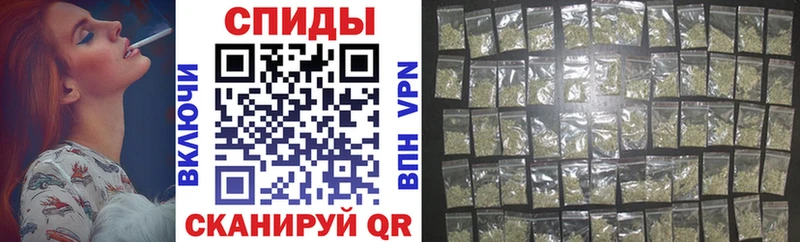 Бутират буратино  Красково 