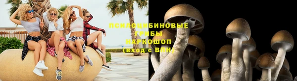 бошки Алексин
